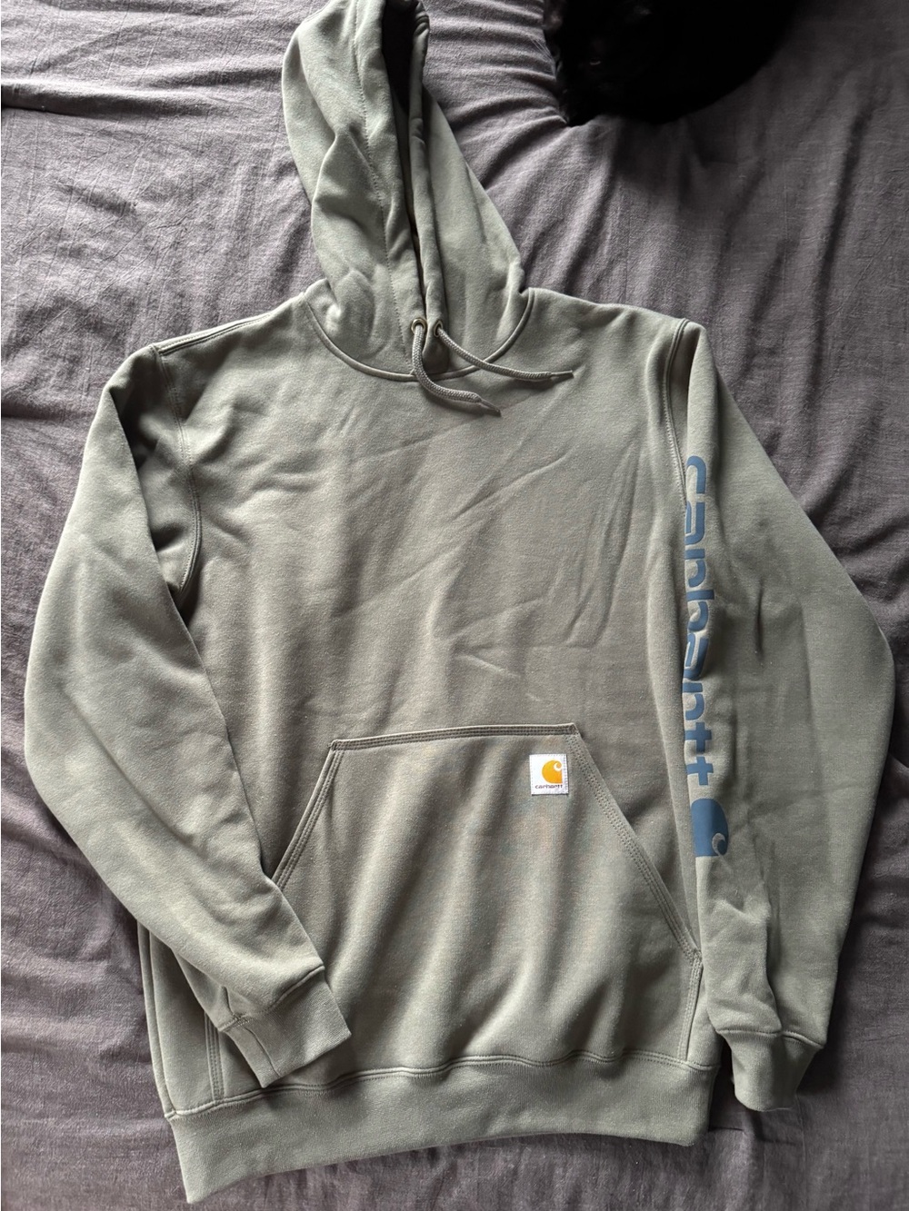 Carhartt Men's Sage Green Pullover Hoodie with Blue Sleeve Logo
